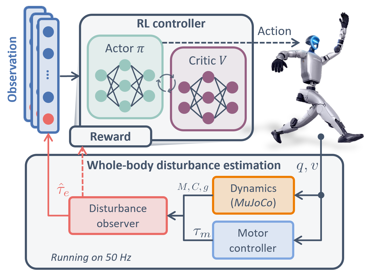 ADAPT: Analytical disturbance-aware policy training for humanoid locomotion