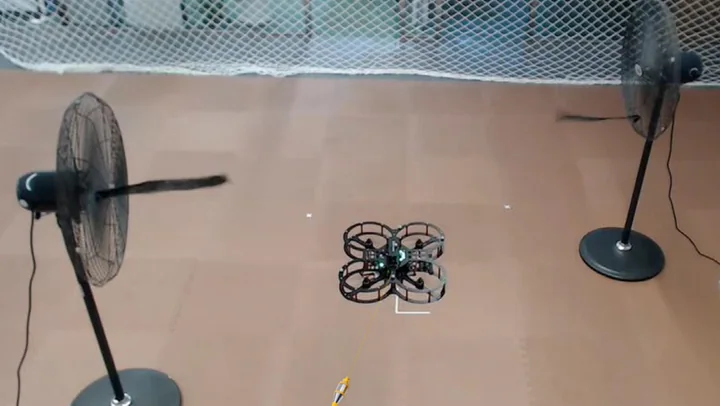 Multiple observers-based anti-disturbance control for a quadrotor UAV against payload and wind disturbance