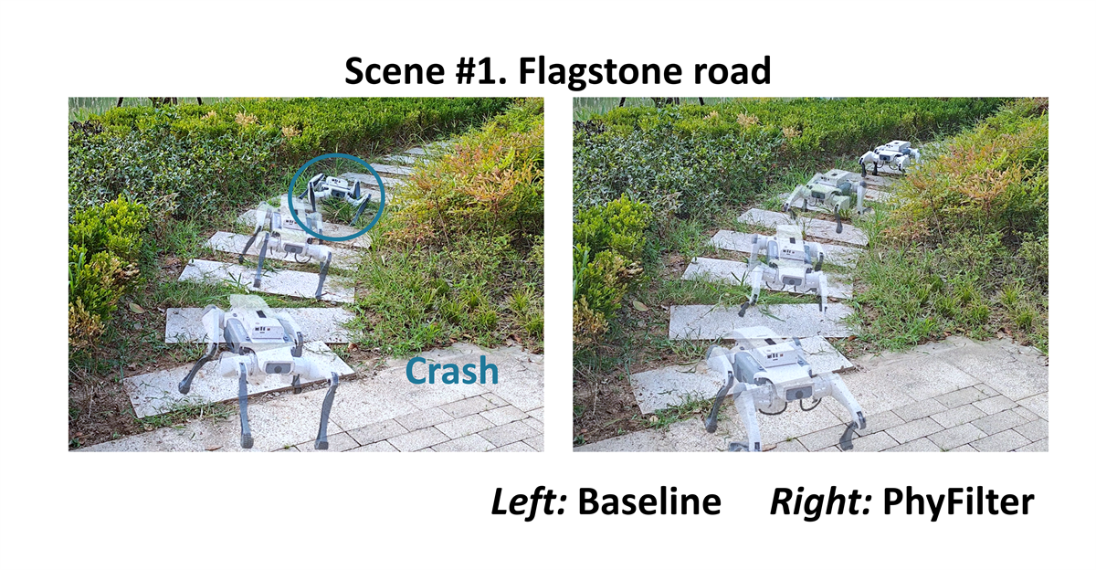 Physics filtering favors the generalization of robot learning